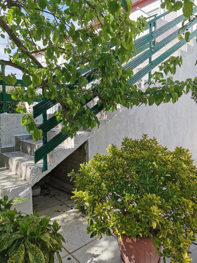Apartman Blaslov Lägenhet Kali